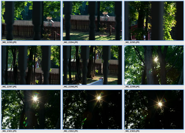 All photos copyright &copy; Eric Francis. All rights reserved.