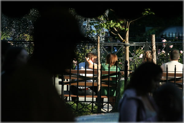 All photos copyright &copy; Eric Francis. All rights reserved.