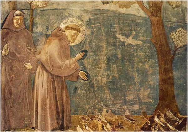 All photos copyright &copy; Eric Francis. All rights reserved.