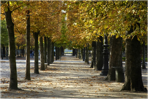 All photos copyright &copy; Eric Francis. All rights reserved.