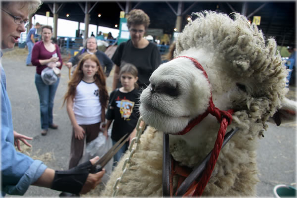 All photos copyright &copy; Eric Francis. All rights reserved.