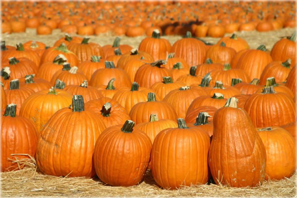 All photos copyright &copy; Eric Francis. All rights reserved.