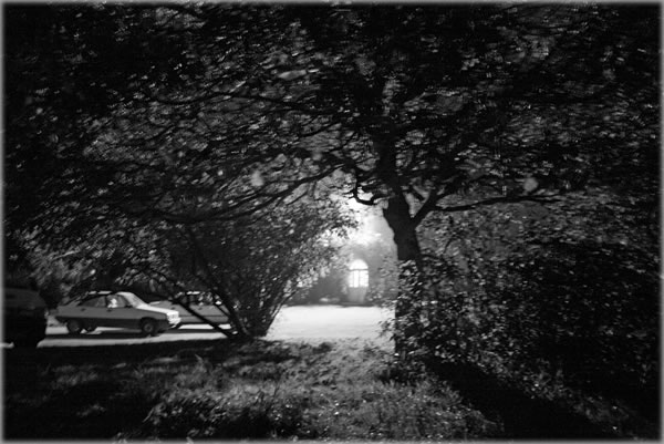 All photos copyright &copy; Eric Francis. All rights reserved.