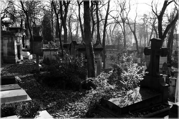 All photos copyright &copy; Eric Francis. All rights reserved.