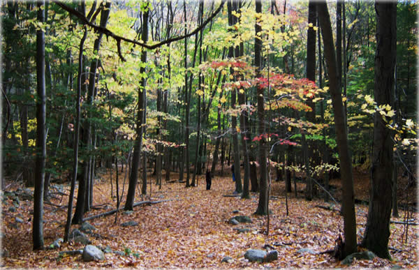 All photos copyright &copy; Eric Francis. All rights reserved.