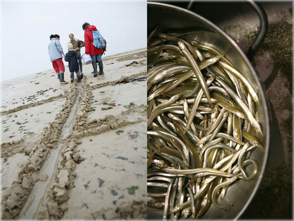 All photos copyright &copy; Eric Francis. All rights reserved.